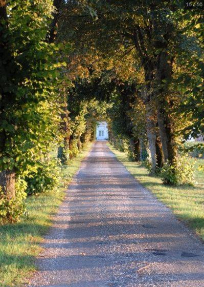 Chateau Belles Graves Bed & Breakfast Pomérols Exterior foto