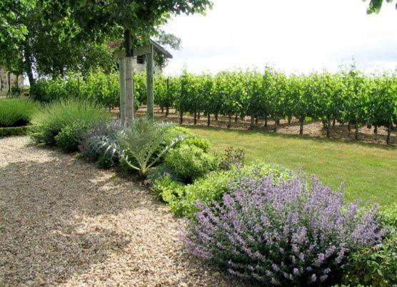 Chateau Belles Graves Bed & Breakfast Pomérols Exterior foto