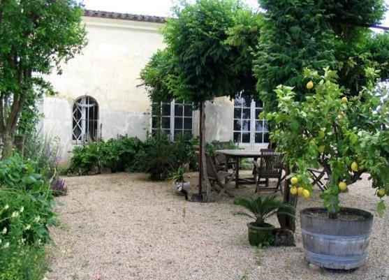 Chateau Belles Graves Bed & Breakfast Pomérols Exterior foto