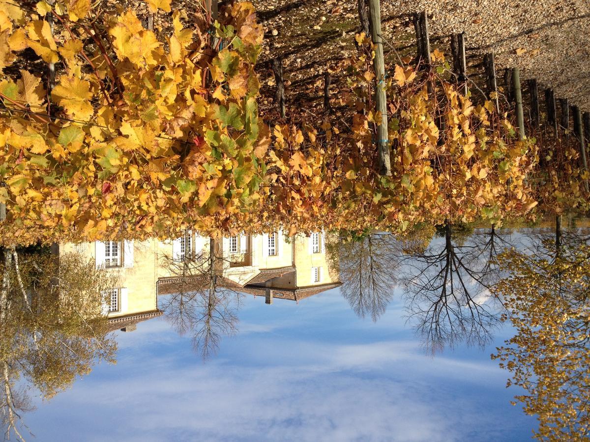 Chateau Belles Graves Bed & Breakfast Pomérols Exterior foto