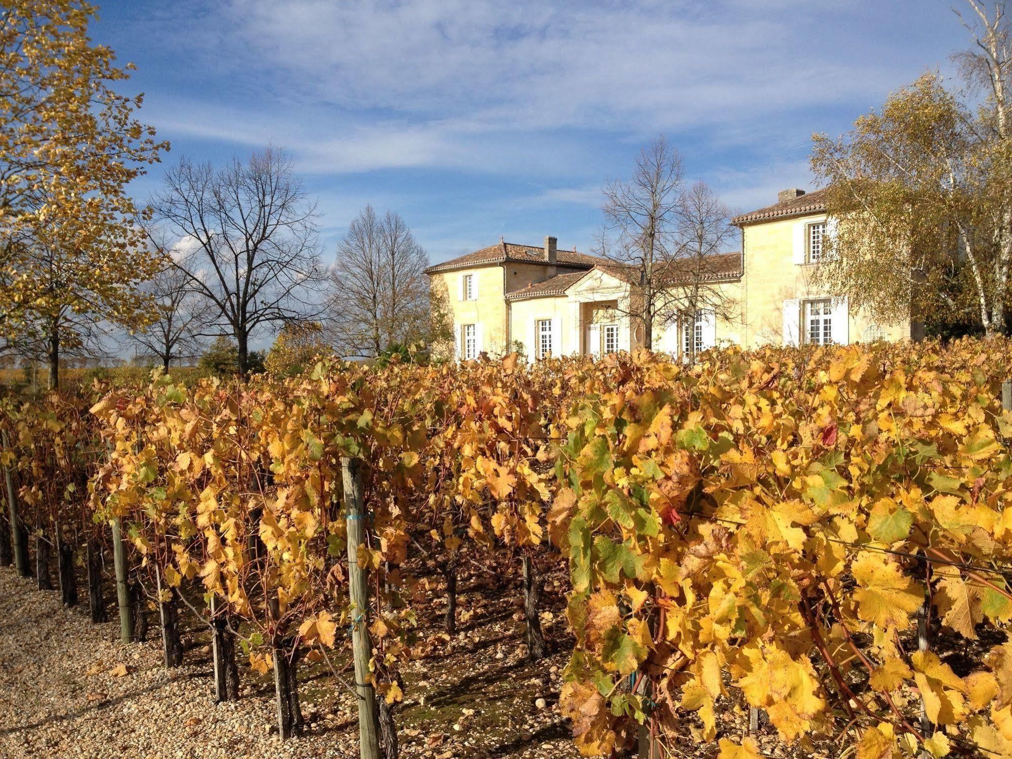 Chateau Belles Graves Bed & Breakfast Pomérols Exterior foto